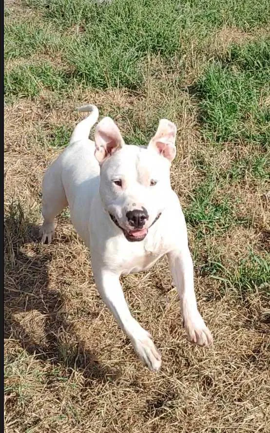 Max Cooper thumbnail 5