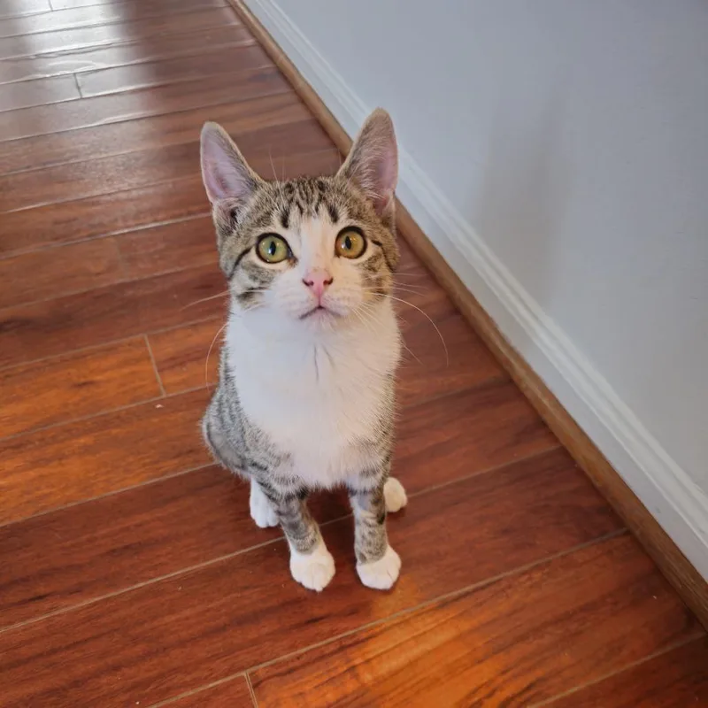 Mimosa Mckenzie thumbnail 3
