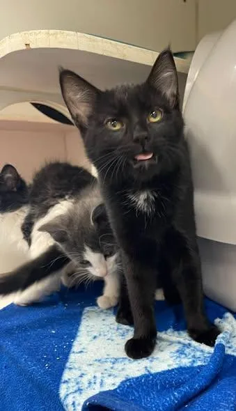 Spicy