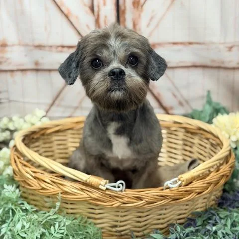 Roscoe