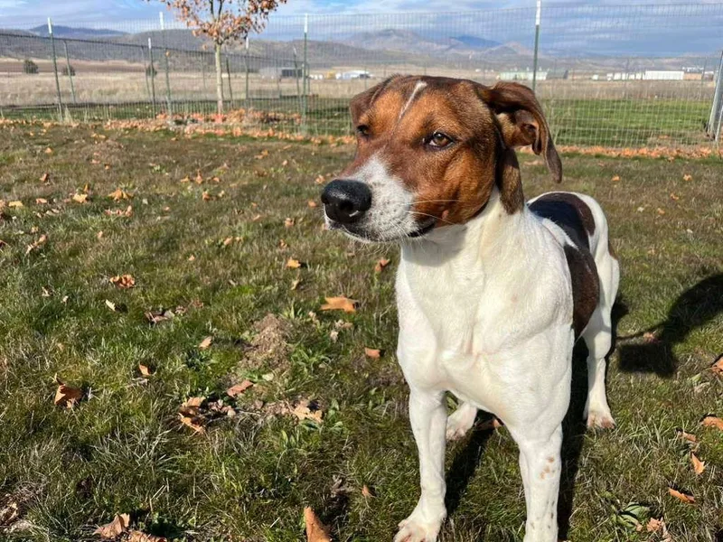 Sprocket thumbnail 2