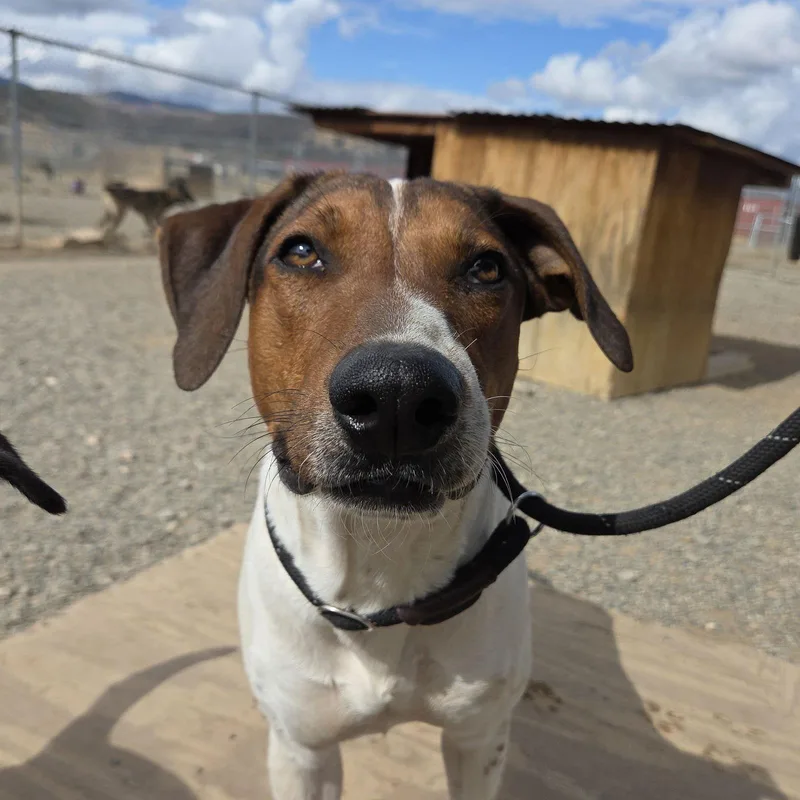 Sprocket thumbnail 3