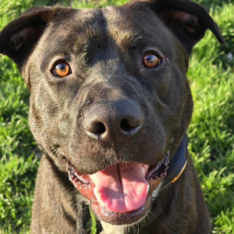 Ragnar Courtesy Listing