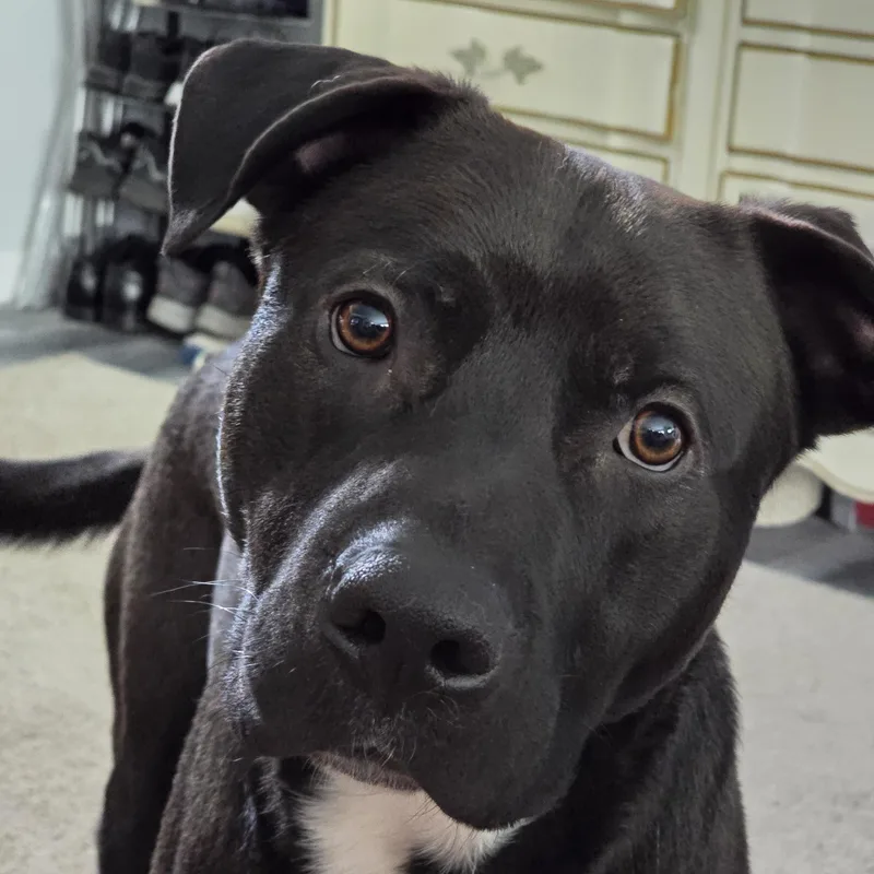 Ragnar Courtesy Listing thumbnail 2