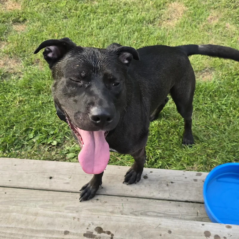 Ragnar Courtesy Listing thumbnail 3