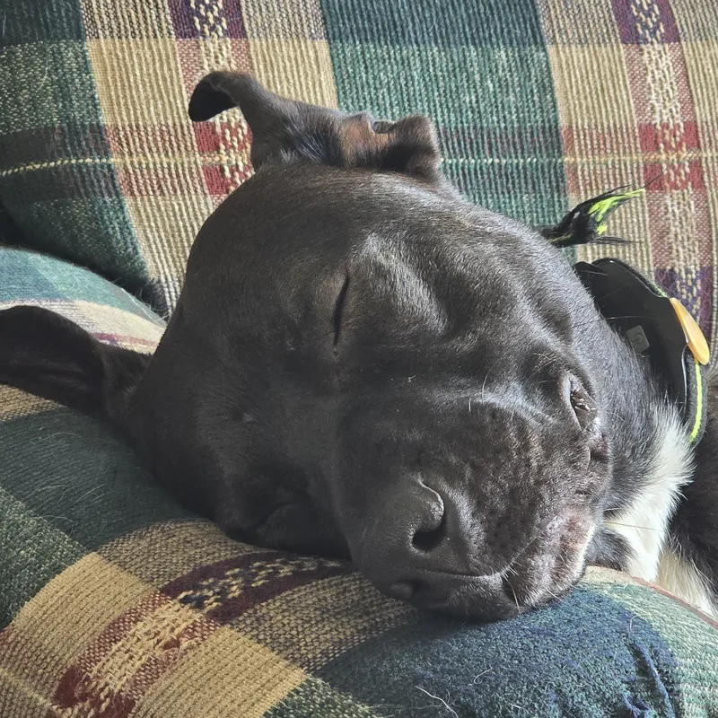 Ragnar Courtesy Listing thumbnail 4