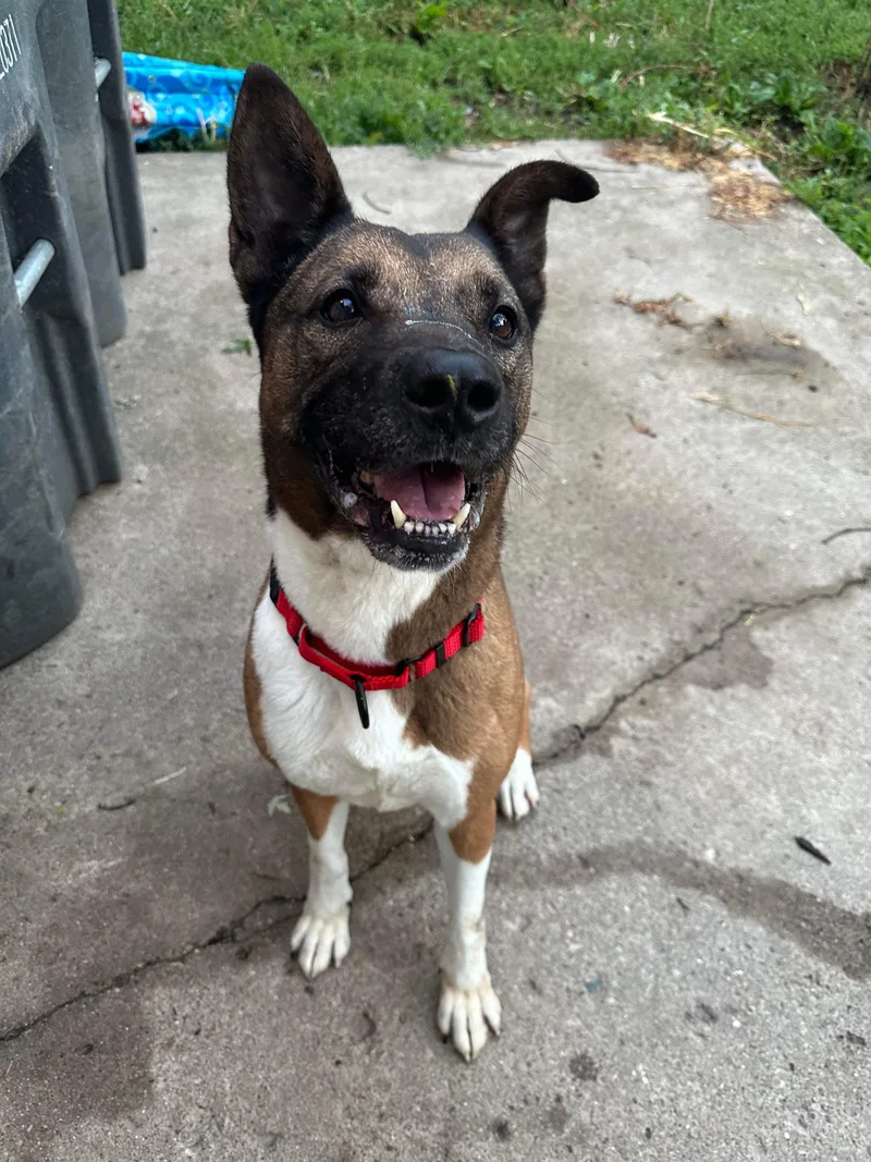 Lilo! Beautiful Incredible Girl! thumbnail 2