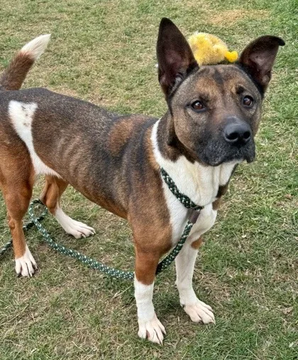 Lilo! Beautiful Incredible Girl! thumbnail 3