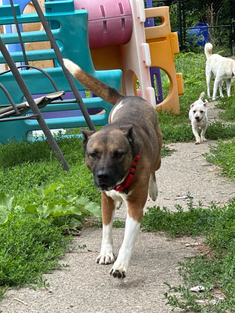 Lilo! Beautiful Incredible Girl! thumbnail 4