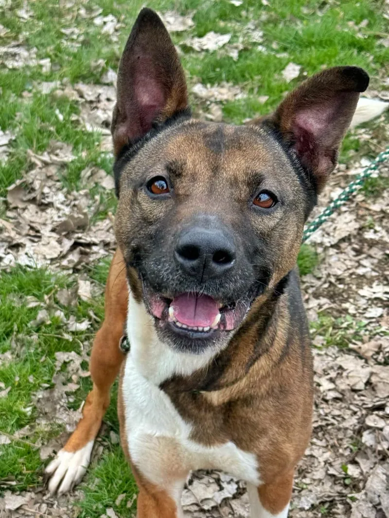 Lilo! Beautiful Incredible Girl! thumbnail 5