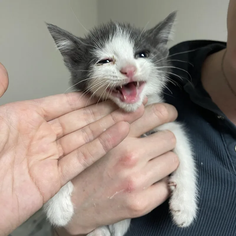 Giant thumbnail 2