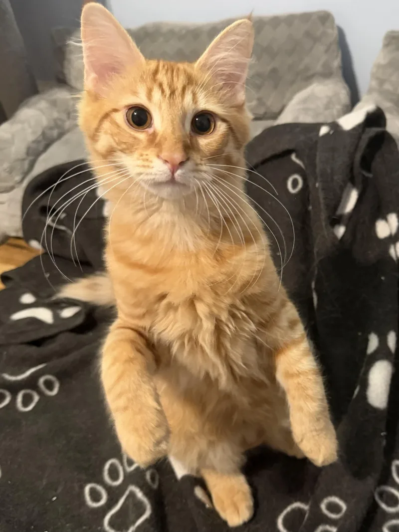Fred