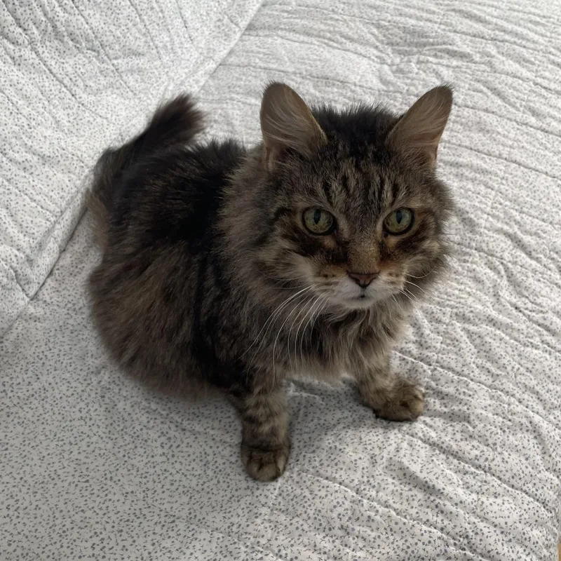 Lord Byron thumbnail 2