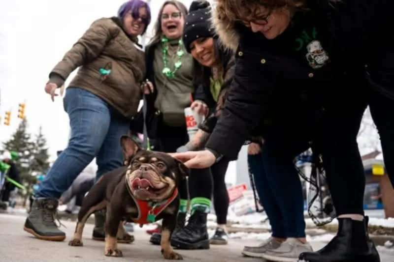 Prudence thumbnail 3