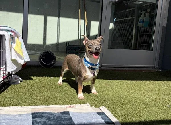 Ginsberg thumbnail 2