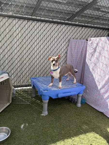 Ginsberg thumbnail 5