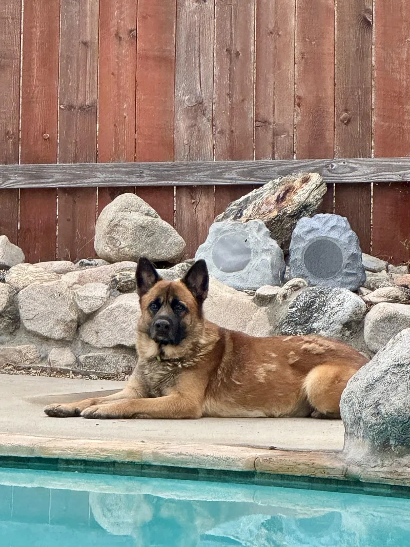 Zeke thumbnail 3