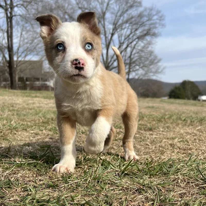 Haymitch thumbnail 2