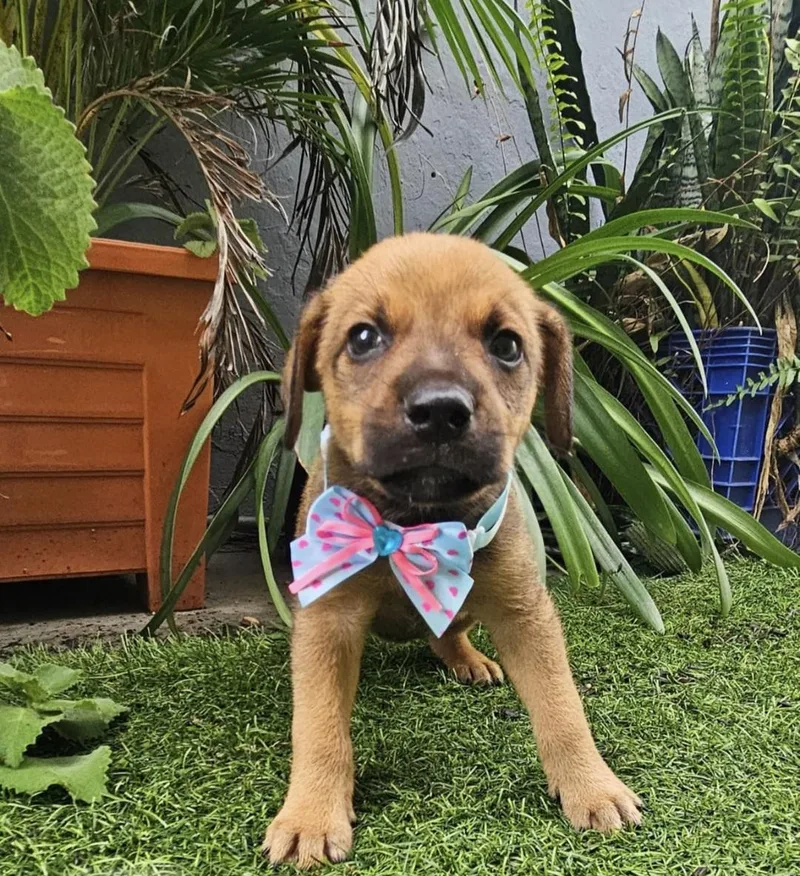 Jax Jedi "the Hug thumbnail 2