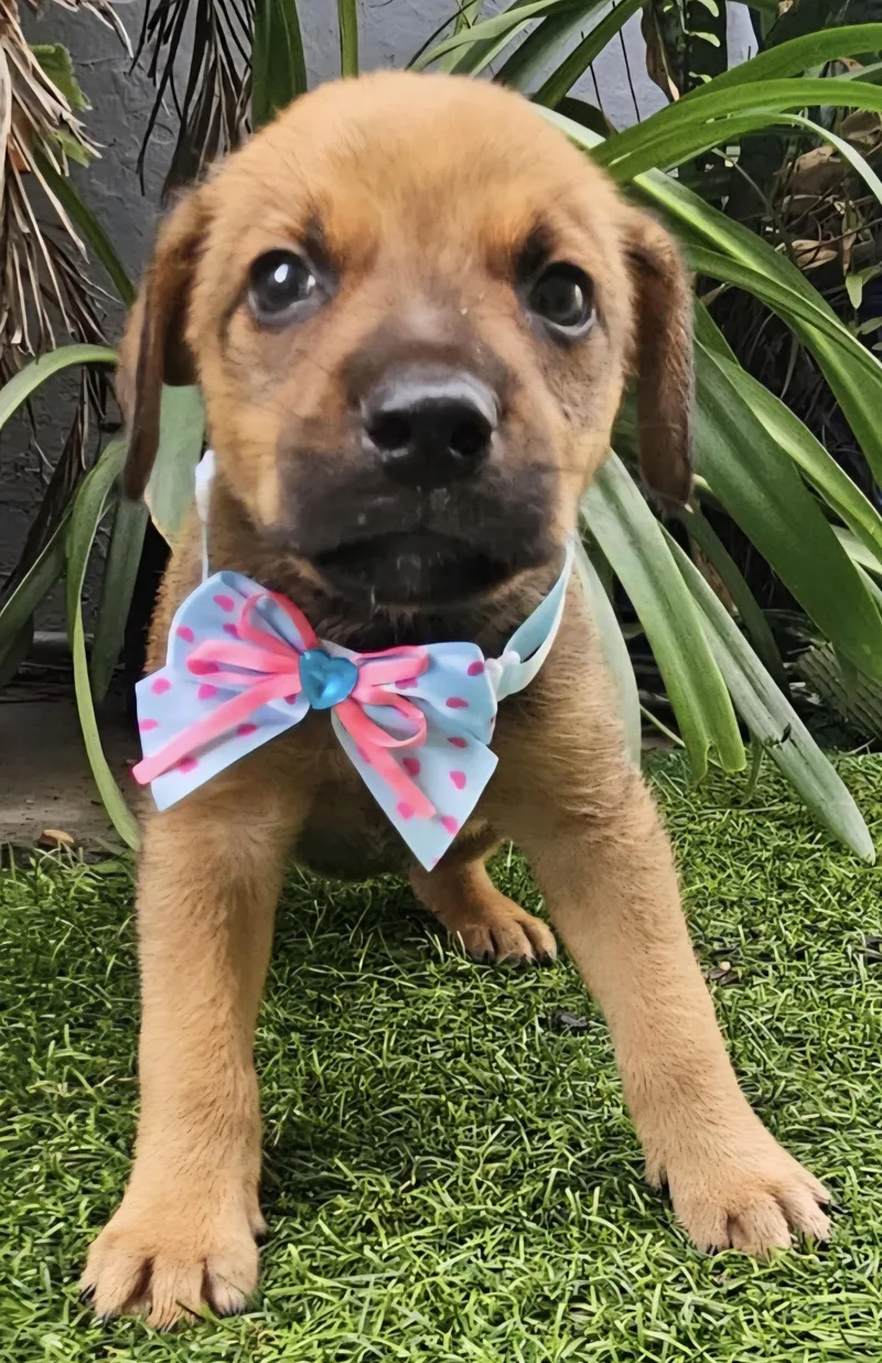 Jax Jedi "the Hug thumbnail 4