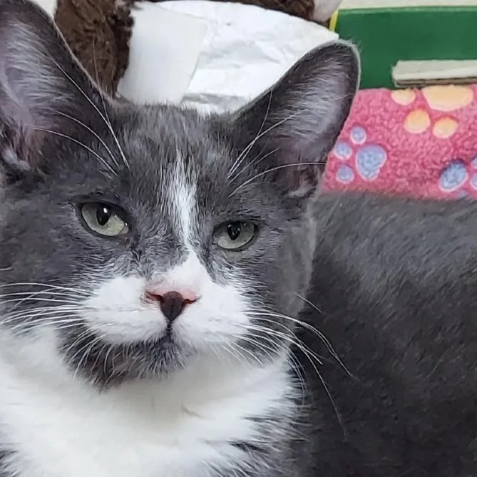 Whoppers thumbnail 2