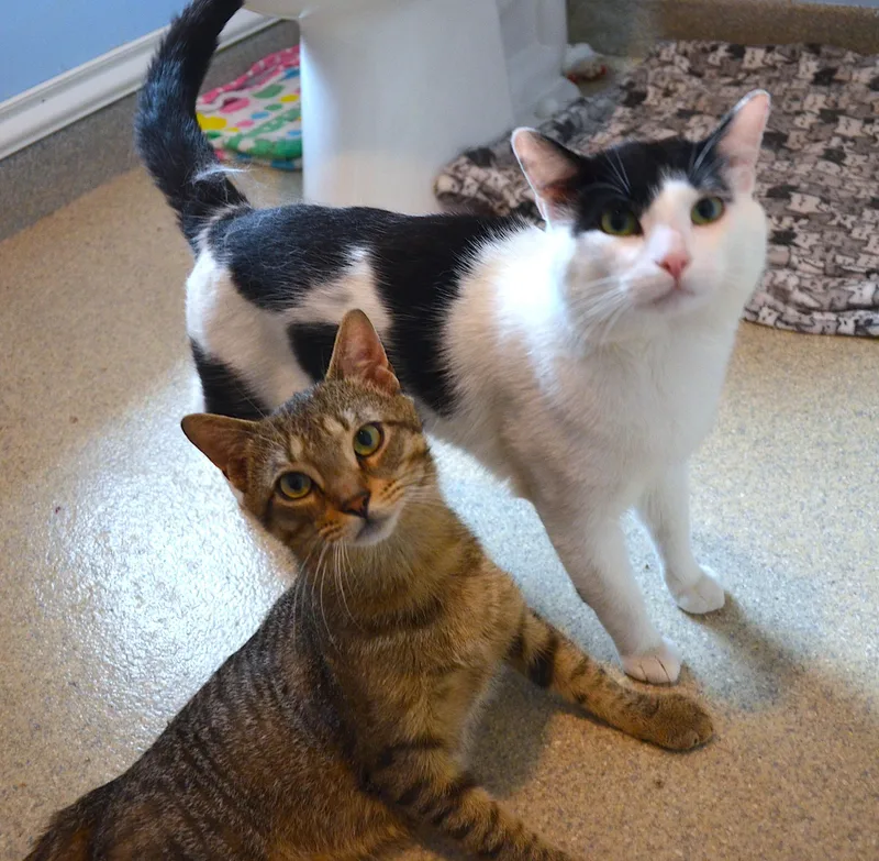 Marty & Sock thumbnail 2