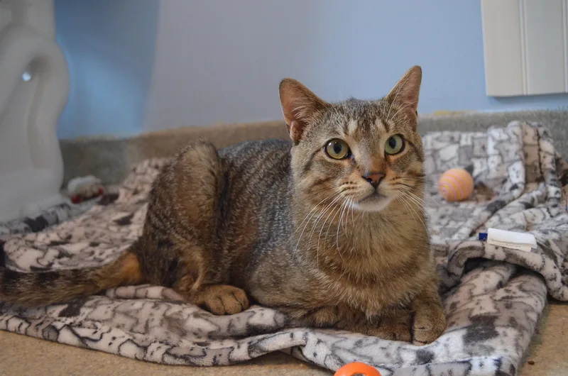 Marty & Sock thumbnail 5