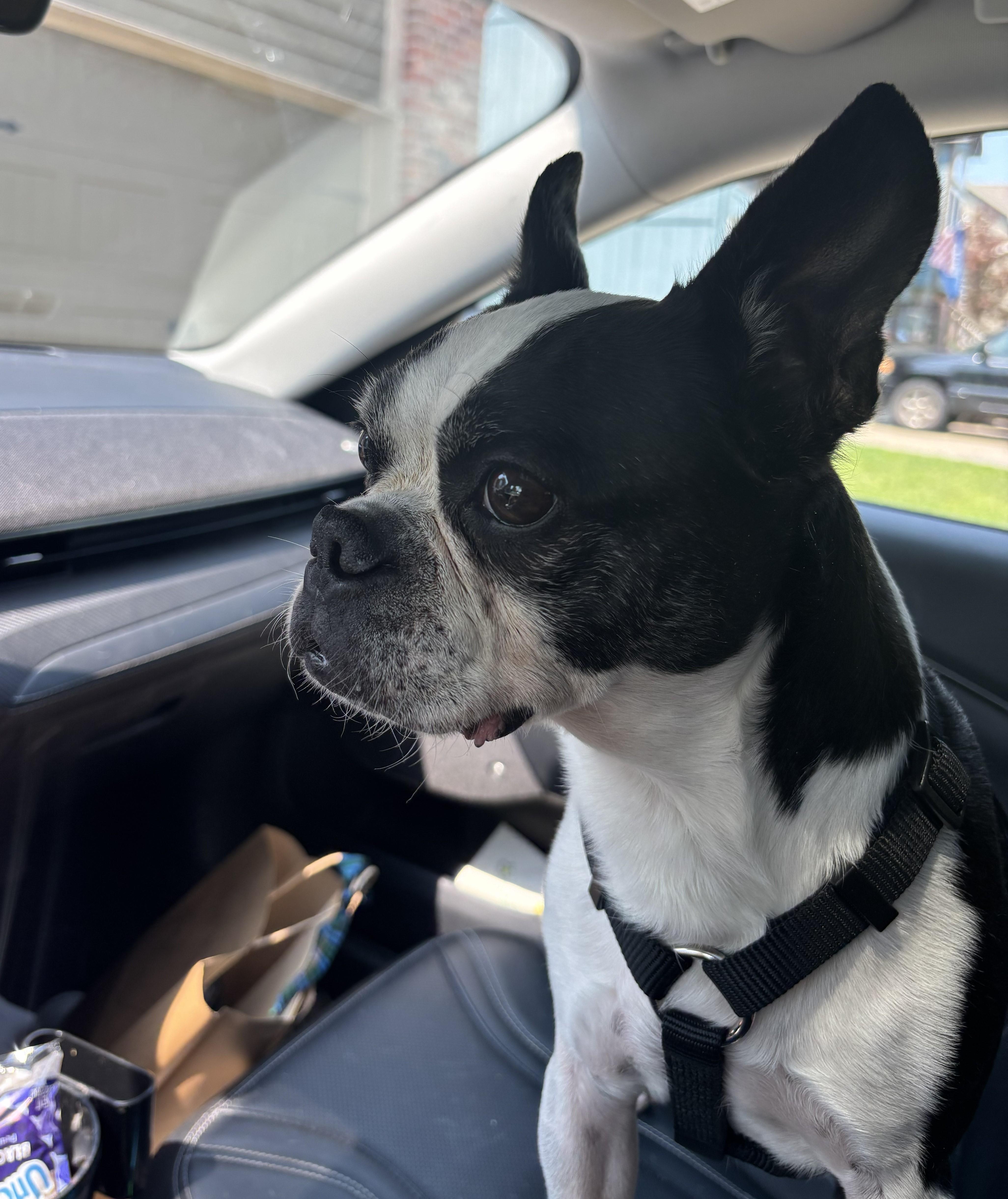Tux in IA thumbnail 5