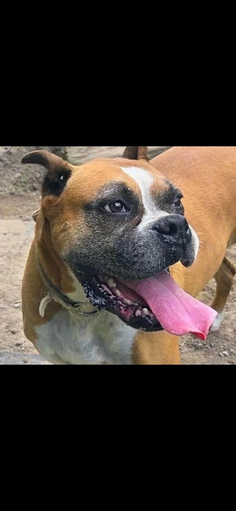 Zoey thumbnail 2