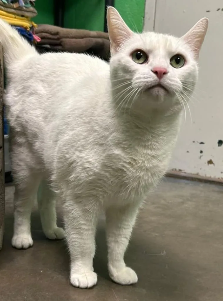 Casper
