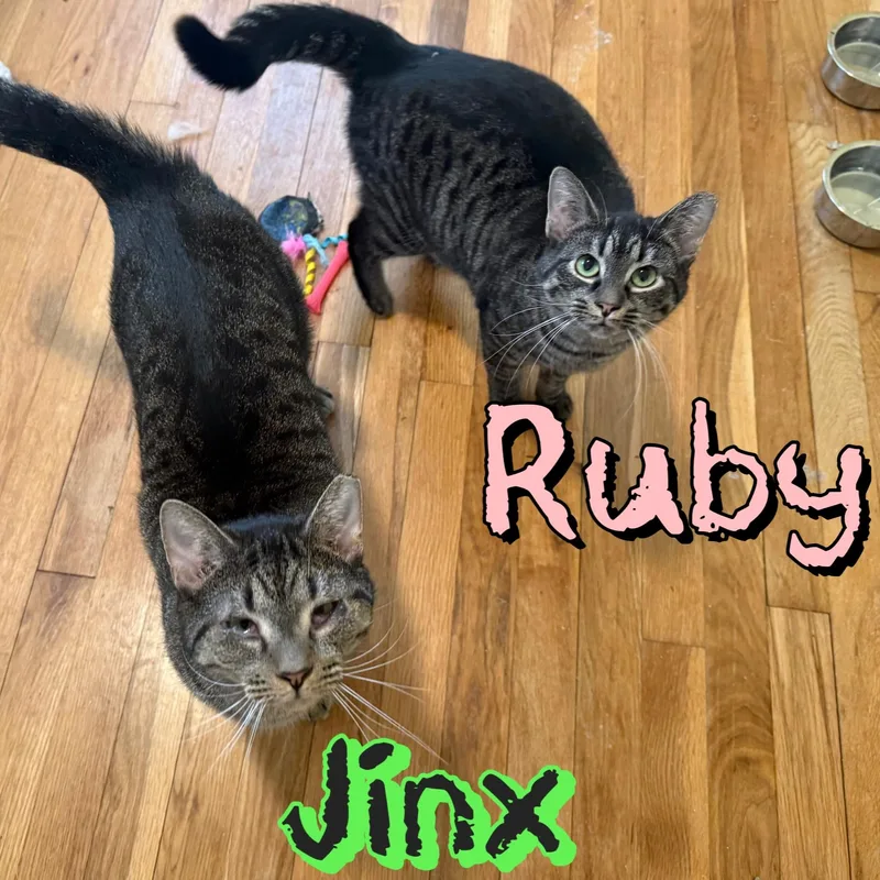 Ruby & Jinx