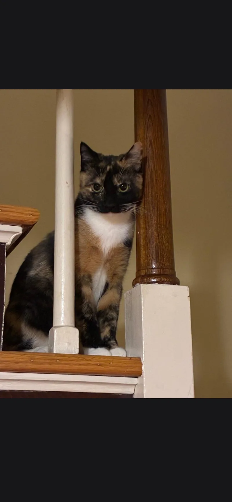 Mikey & Missy thumbnail 6