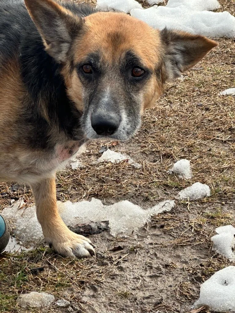 Snowflake thumbnail 3