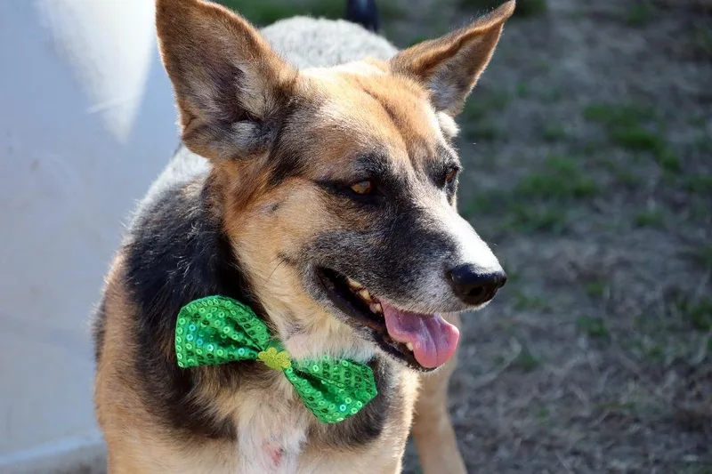 Snowflake thumbnail 4