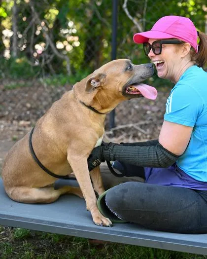 An adult large-sized female Mixed Breed dog named Scarlett for adoption in Chamblee, GA
