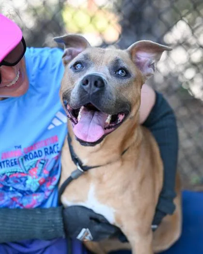 Scarlett thumbnail 3