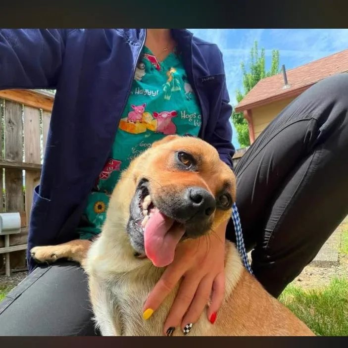 Peaches thumbnail 5