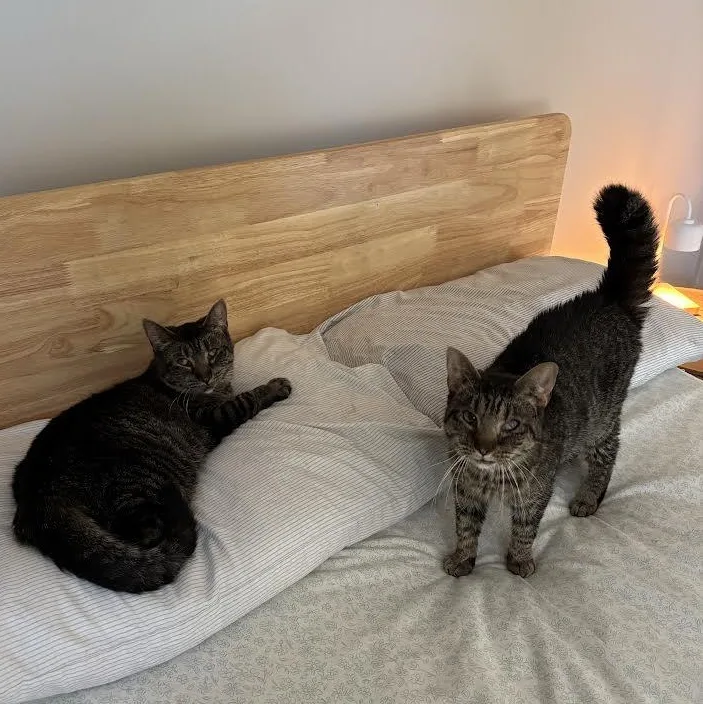 Millie and Gracie