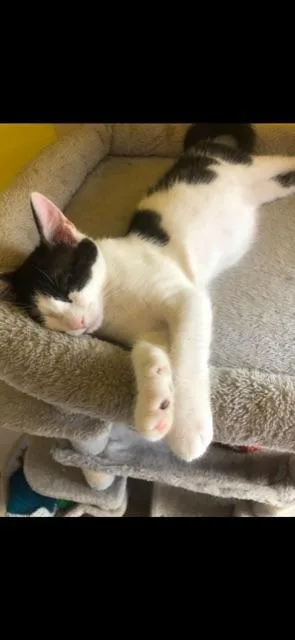 Stratus! thumbnail 3