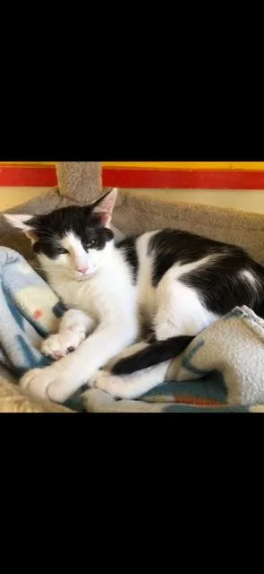 Stratus! thumbnail 4