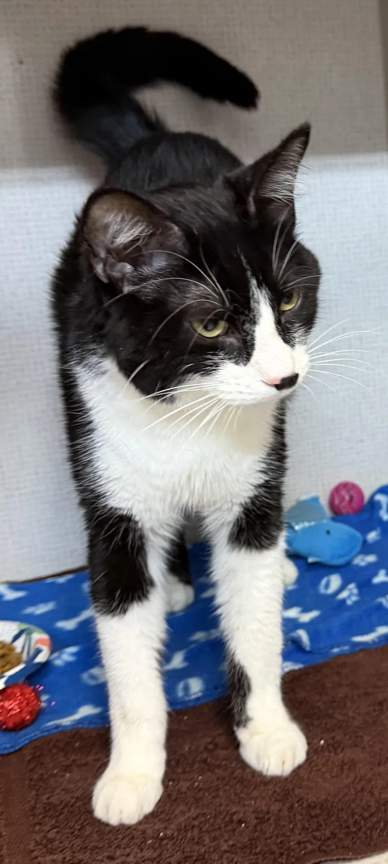 Omar And Otto thumbnail 3