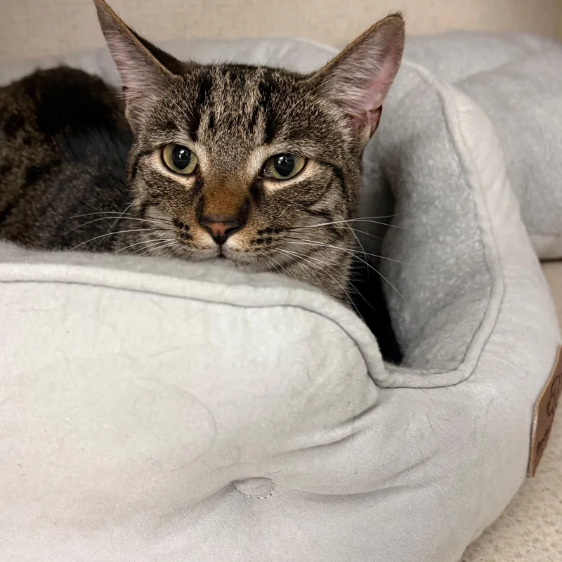 Omar And Otto thumbnail 5