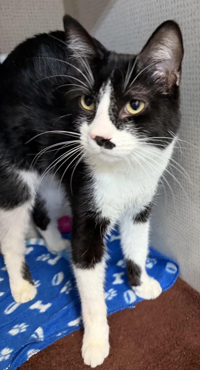 Omar And Otto thumbnail 6