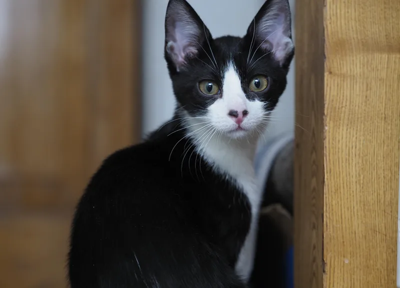 Kaya Baldwin thumbnail 3