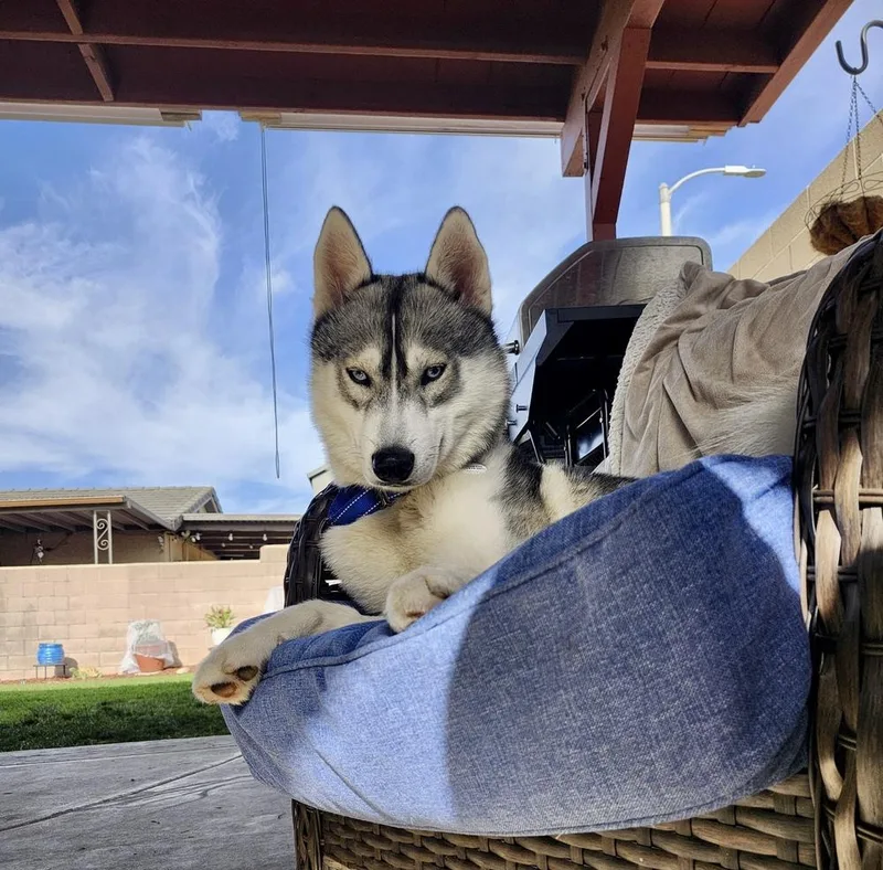 Luke Sky thumbnail 2