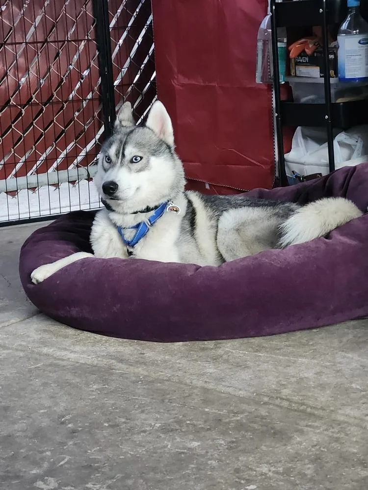 Luke Sky thumbnail 3