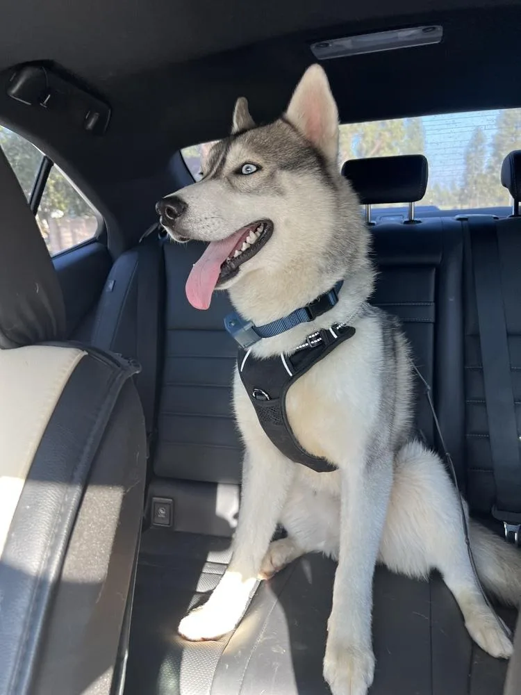 Luke Sky thumbnail 5