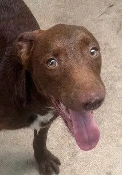 Opal thumbnail 2