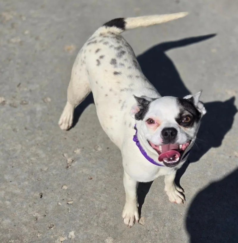 Sprinkles thumbnail 3