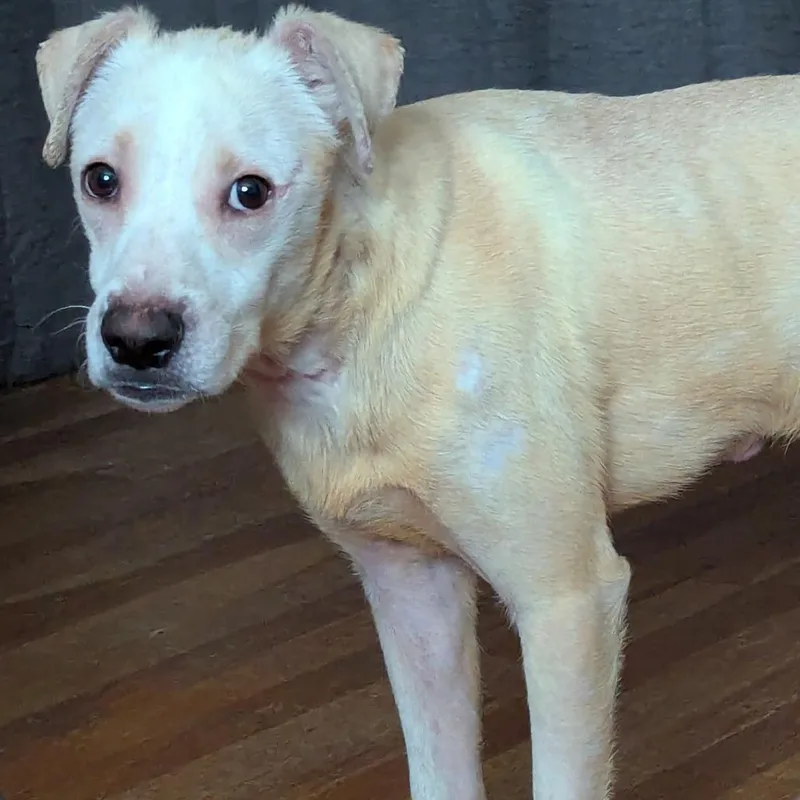 Willy Worm thumbnail 2